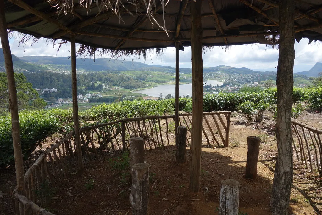 Shelter overlooking tea rows and a lake in the hills of Nuwara Eliya
